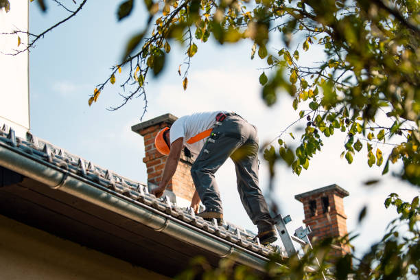 Best Rubber Roofing (EPDM, TPO)  in East Palestine, OH