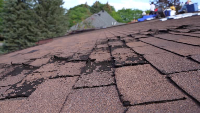 Best Emergency Roof Repair Services  in East Palestine, OH
