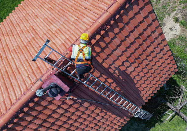 Best Asphalt Shingles Roofing  in East Palestine, OH