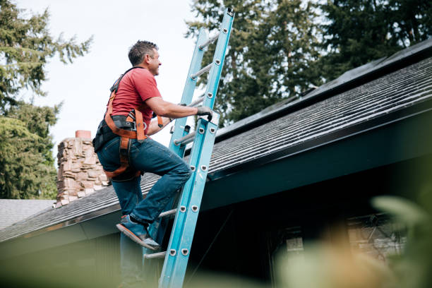 Best Metal Roofing Installation  in East Palestine, OH